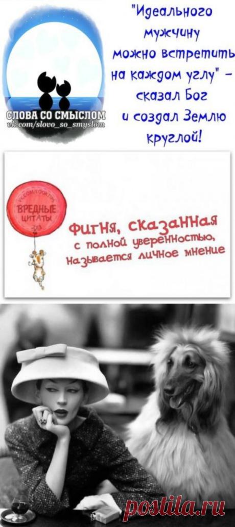 юмор | Записи в рубрике юмор | Дневник lokvi
