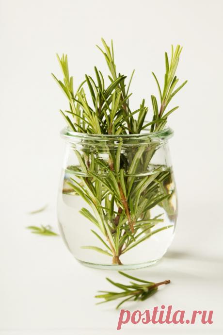 19 цветов и овощей, которые можно вырастить в вазе с водой