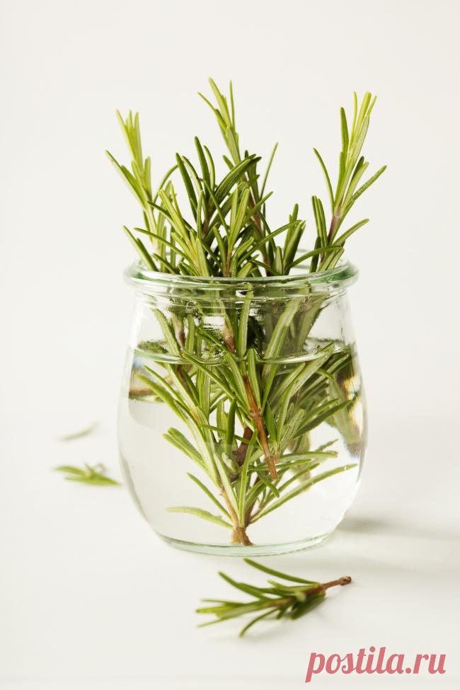 19 цветов и овощей, которые можно вырастить в вазе с водой