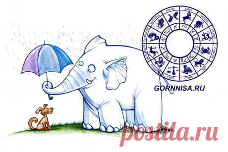 Не требуя благодарности - очень добрые знаки зодиака - ГОРНИЦА