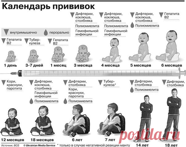 ГИБЕЛЬ ПЯТОГО ПОКОЛЕНИЯ 

Я интересовалась у своей 85–летней бабушки, сколько прививок ей делали? Оказывается, только две. Моя мама получила прививки уже по полной советской программе (их начали делать в 1919 году по указу Ленина), я — соответственно, а мои дети и подавно. Мои внуки будут четвертым иммунным поколением, а правнуки — пятым. Вопрос: все те вакцины, которые вливают в людей (возьмем только женщин, потенциальных родительниц), передаются по наследству? Если да, т...