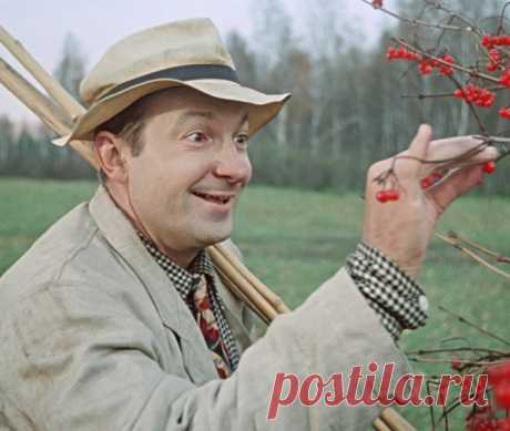 Георгий Вицин —