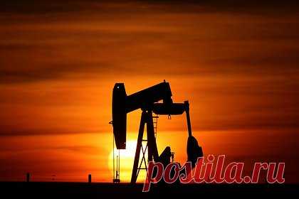 Индия резко нарастила закупки нероссийской нефти под давлением Трампа
