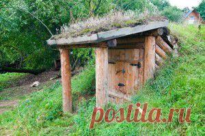 ДЕЗИНФЕКЦИЯ ПОГРЕБА. ЭФФЕКТИВНЫЕ СПОСОБЫ ОБРАБОТКИ