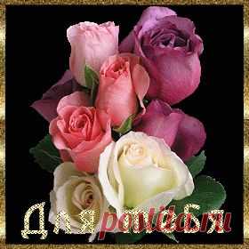 Вы любите караоке? Это для вас.