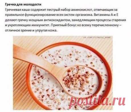 5 каш, за которые организм скажет вам спасибо!