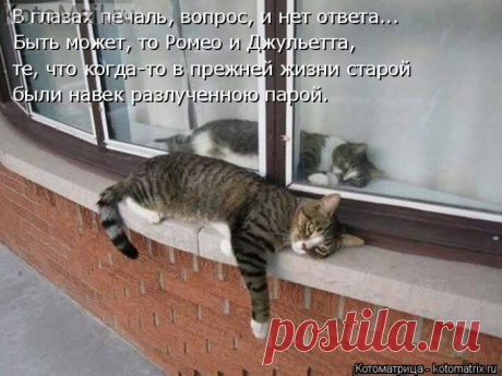 Ромео и Джульетта