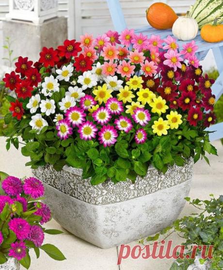 ....................