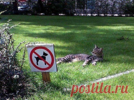 Редкие кадры