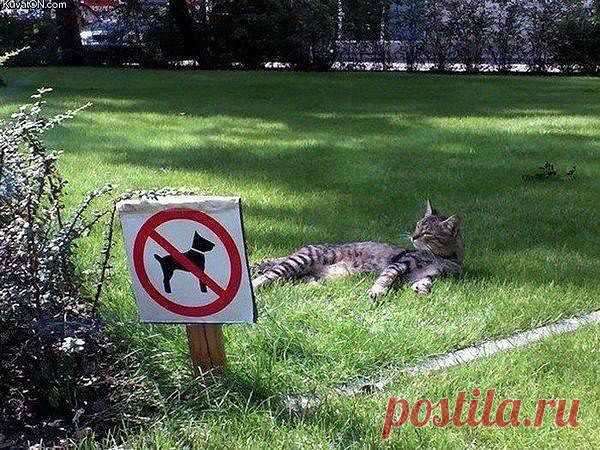 Редкие кадры