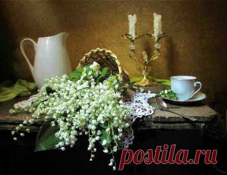 (9) Одноклассники