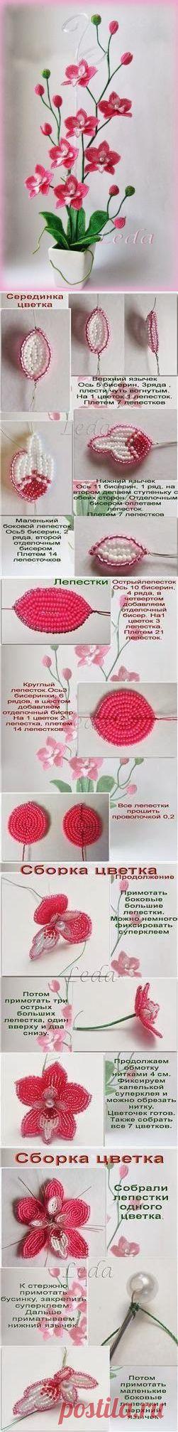 Красивейшая орхидея из бисера