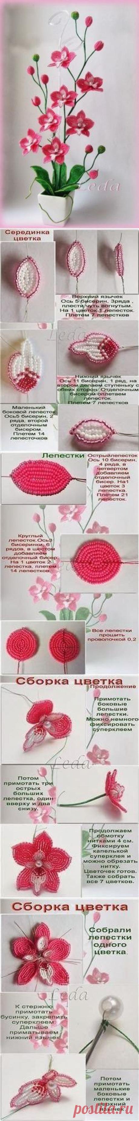 Красивейшая орхидея из бисера