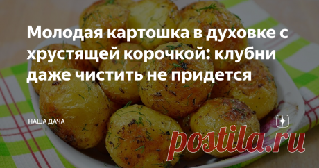 Молодая картошка в духовке с хрустящей корочкой: клубни даже чистить не придется Рецепт из разряда «минимум продуктов и телодвижений» - в точности, как я люблю.  Такая картошка, как говорится, «и в пир, и в мир, и в добрые люди», - хоть на праздничный стол поставить, хоть так с малосольными огурцами поесть, за уши не оттянешь! Аромат специй сводит с ума,и корочка такая аппетитная, хрустящая, вкусная!