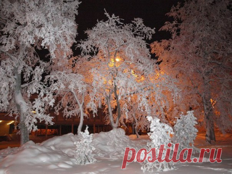 Прекрасного зимнего вечера! #вечер #кулинария #зима #снег #красиво #рецепты За окошком — вьюга, За окошком — тьма, Глядя друг на друга, Спят в снегу дома. А снежинки кружатся - Все им нипочем! - В легких платьях с кружевцем, С голеньким плечом. Медвежонок плюшевый Спит в углу своем И в пол-уха слушает Вьюгу за окном. Старая, седая, С ледяной клюкой, Вьюга ковыляет Бабою-ягой. А снежинки кружатся - Все им нипочем! - В легких платьях с кружевцем, С голеньким плечом. Тоненькие ножки - Мягкие…