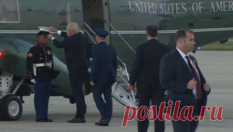 Вести.Ru: Видео с заботливым Трампом покорило Интернет