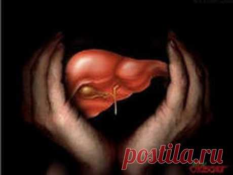 Застой Желчи. Причины Возникновения.