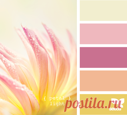 Цветы, деревья — источник вдохновения! | BepHuK собирает друзей