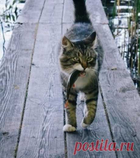 - Эй, рыбак! Есть там рыба, ловить надо уметь!