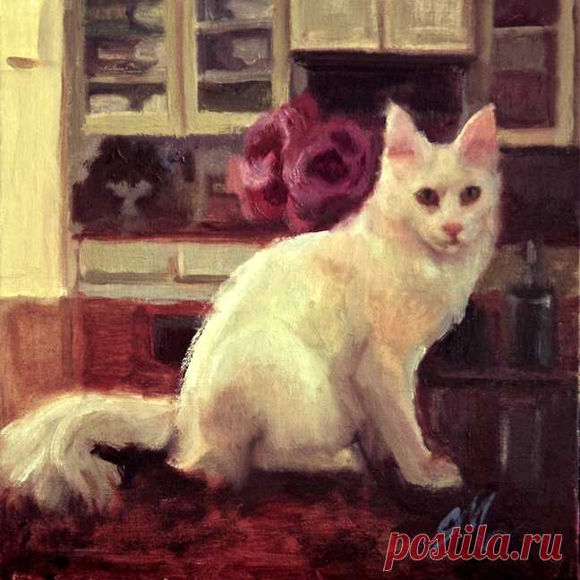 CM Cooper (??? по настоящее время, американец) - Великий Кот