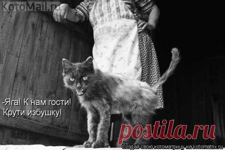 К нам гости