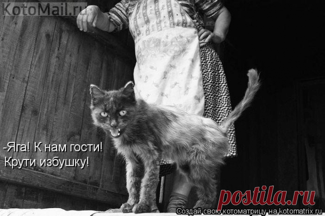 К нам гости