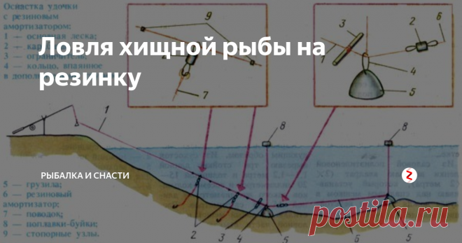 Ловля хищной рыбы на резинку Для удачной рыбалки на хищную рыбы, самой эффективной будет ловля на резинку (резиновый амортизатор). Это снасть имеет короткое удилище с пропускными кольцами, а так же оснащенная инерционной катушкой.
Собираем резинку для рыбалки
Берем леску диаметра 4 мм. длинной где-то 50-100 метров.
С помощью небольшого карабина крепим один конец резинки.