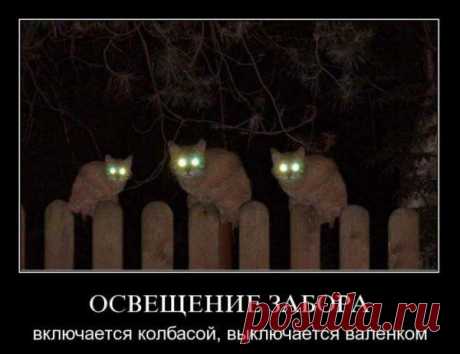 Интересные новости