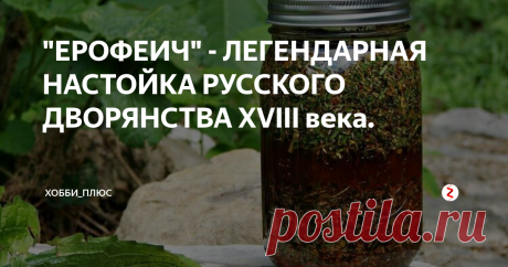 "ЕРОФЕИЧ" - ЛЕГЕНДАРНАЯ НАСТОЙКА РУССКОГО ДВОРЯНСТВА XVIII века. Эта богатая эфирными маслами настойка являлась  одним из  любимых напитков русского дворянства. Хотя у каждого помещика был свой любимый рецепт, основой напитка были следующие ингредиенты.
Состав на 1 литр 60% самогона:
1. Шалфей листья - 2 гр.
2. Корень калгана - 7 гр.
