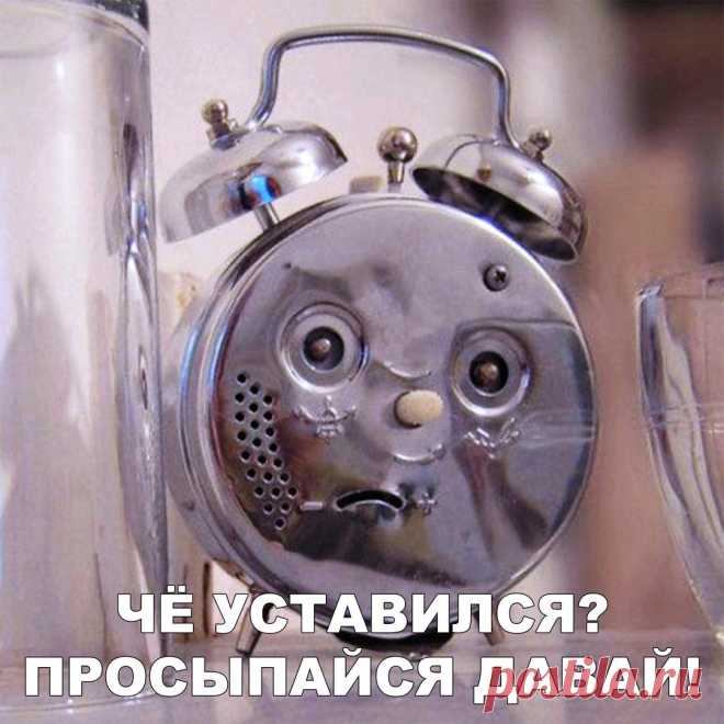 (3) Одноклассники
