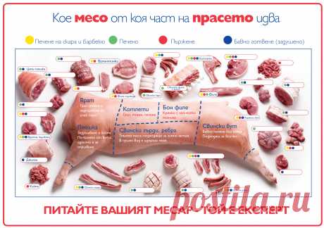 Кое месо от коя част на прасето идва - кулинарно.бг