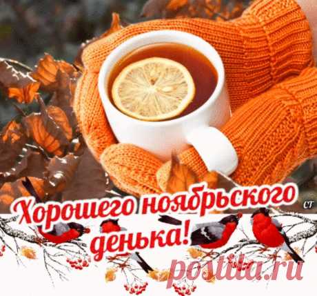 i (755×704)