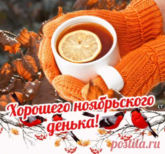 i (755×704)