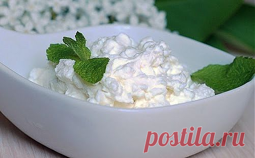 ТВОРОГ ДОЛГОЖИТЕЛЕЙ | Личный Блог Маргариты Барской