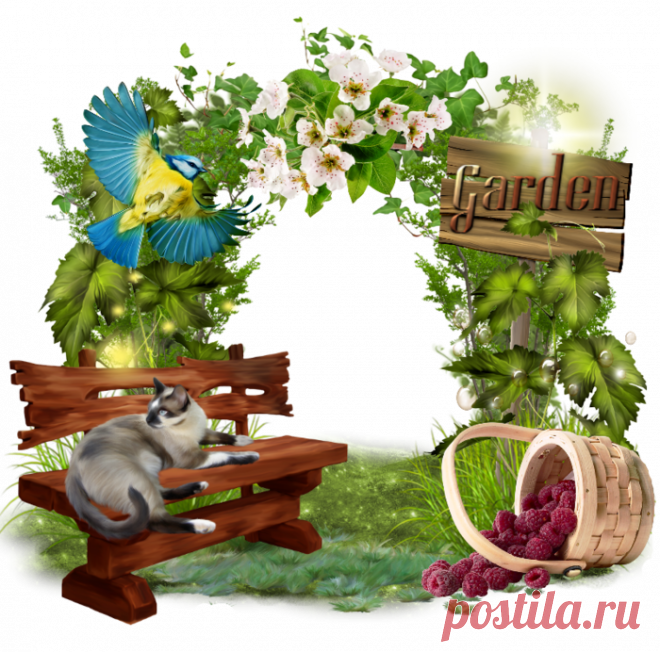 Дневник abcd21(Oksana)