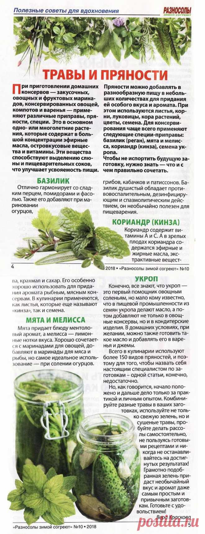 Травы и пряности