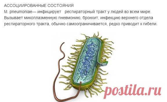 (1) Одноклассники