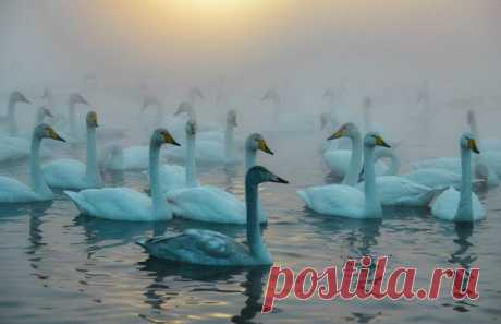 Google+