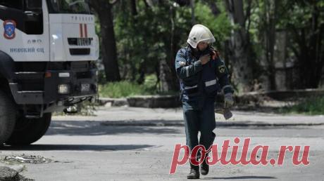 В Туве за десять дней спасатели не смогли найти пожилую сборщицу дикоросов