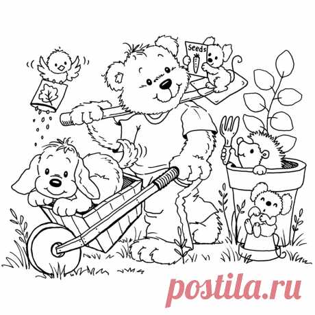 Животные на огороде