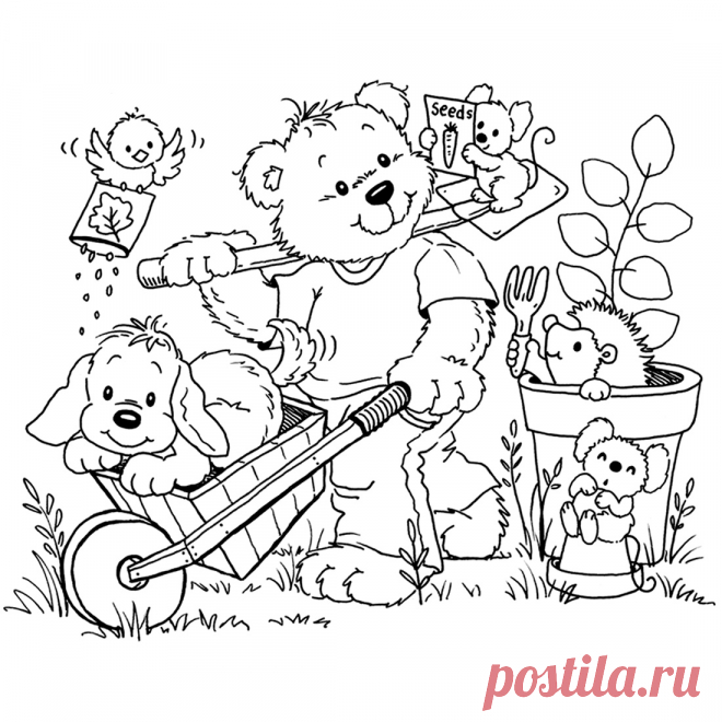 Животные на огороде