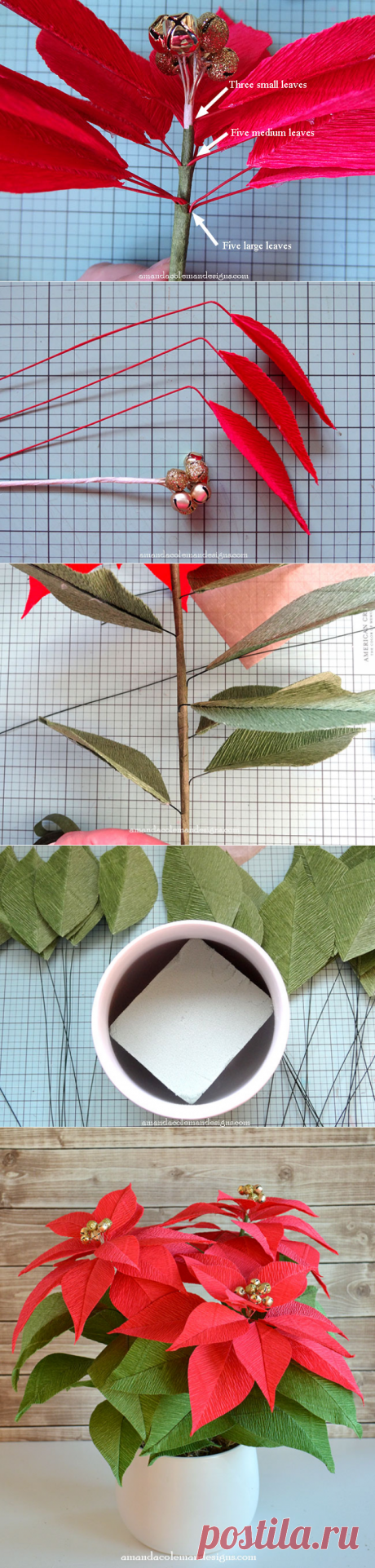 Popper and Mimi: DIY Crepe Paper Poinsettia