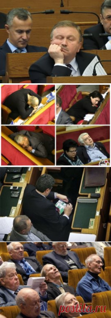 (41) Одноклассники