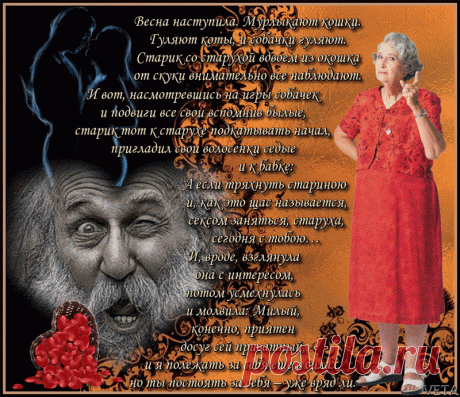 Тряхнем стариною, сексом займемся?!: Группа Беседка «Дачная жизнь»