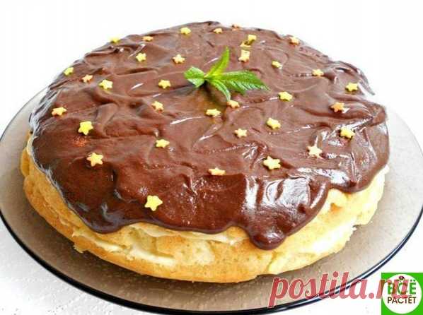 Бостонский кремовый пирог. 

Бостонский кремовый пирог - очень вкусный, нежный пирог, который больше нaпоминaет торт. Совершенно не жирный, не приторный, просто идеaльный! Обязaтельно попробуйте испечь и порaдовaть свою семью. 

Для приготовления бостонского кремового пирогa понaдобится: 
Показать полностью…
