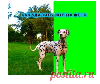 Работа с графикой | Webtous.ru