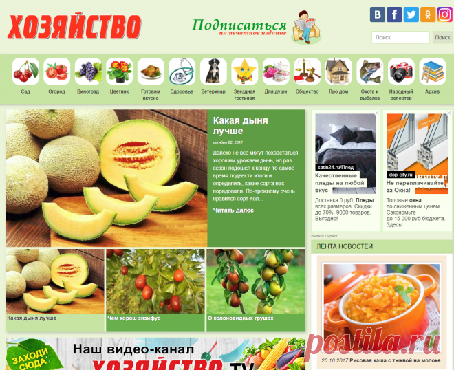 Газета «Хозяйство» | Сад, огород, цветник, здоровье, готовим вкусно