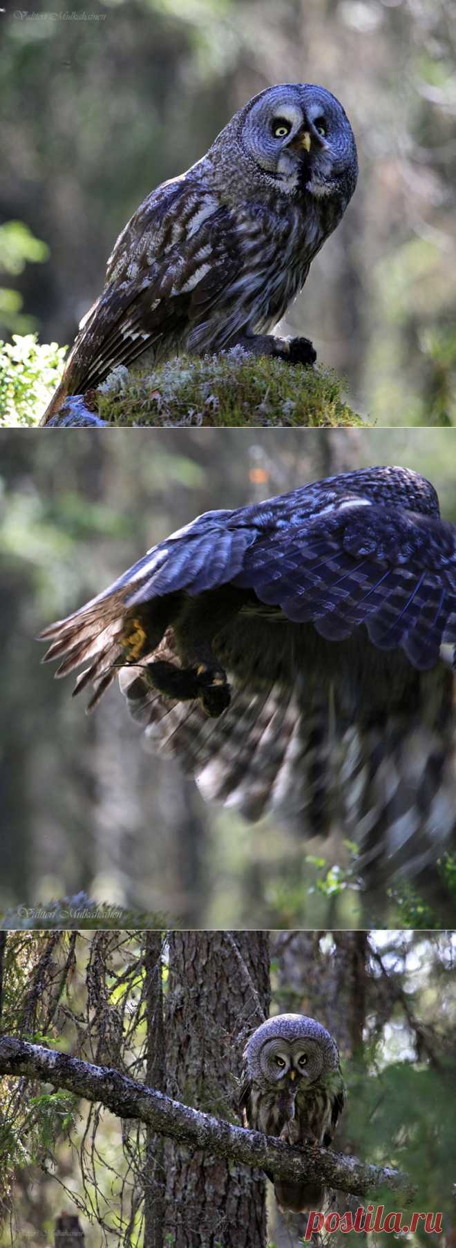 35PHOTO - Valtteri Mulkahainen - Обед на открытом воздухе ...