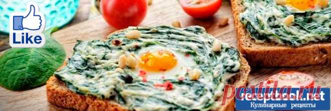 5 кулинарных советов по приготовлению вкусных бутербродов