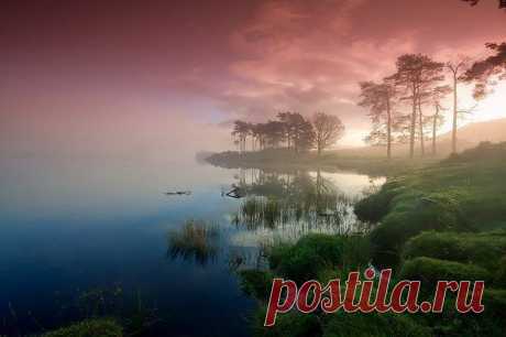 природа